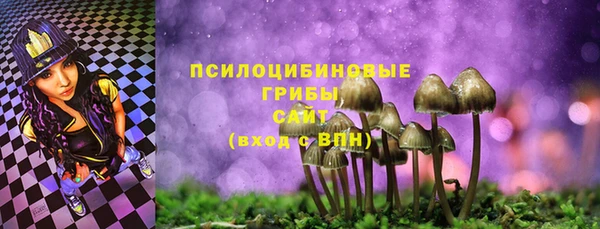 молекула духа Баксан