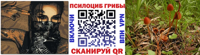 MEGA ССЫЛКА  Усть-Лабинск  Псилоцибиновые грибы Psilocybine cubensis 